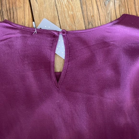 Daniel Rainn Burgundy Blouse - Picture 6 of 7